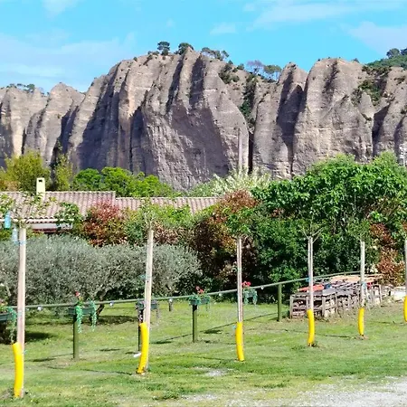 Amande Domaine De L'annonciade *