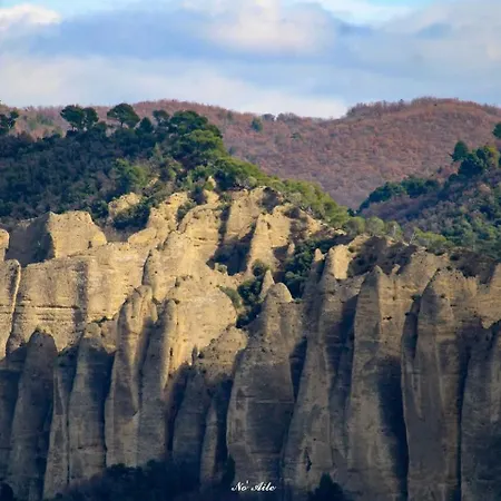 Amande Domaine De L'annonciade